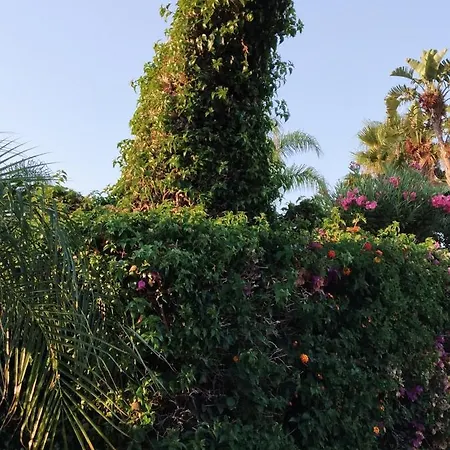 Joyful Casa vacanze