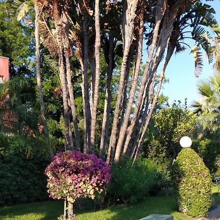Joyful Casa vacanze